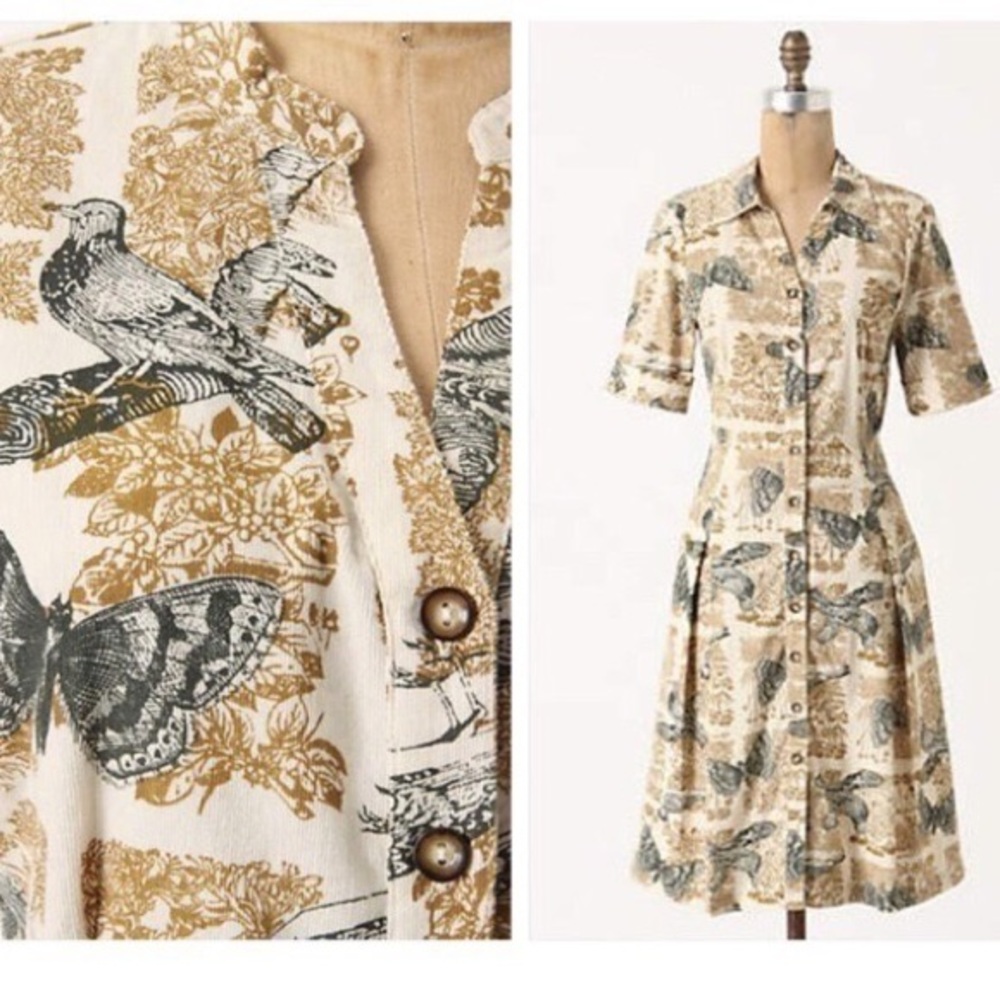 ANTHROPOLOGIE dress Alary corduroy mini bird butterfly print button up collar.